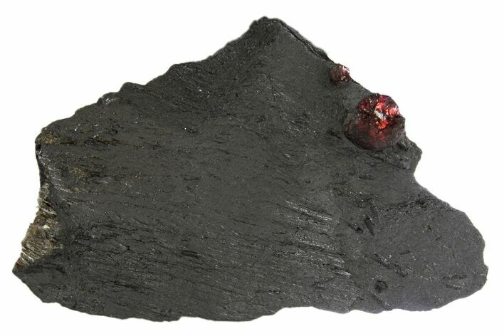 Red Embers Garnet in Graphite - Massachusetts #313415